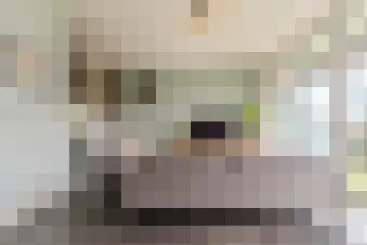 Assumburglaan 2 Obdam thumbnail 13