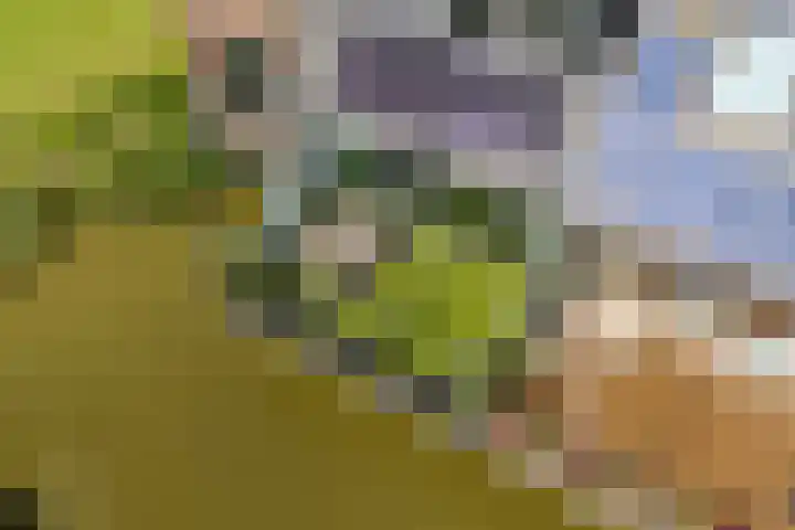 Assumburglaan 2 Obdam thumbnail 49