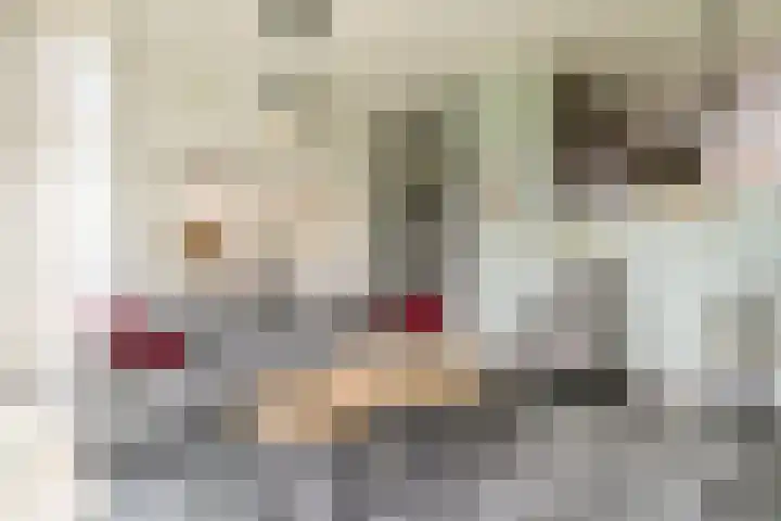 Assumburglaan 2 Obdam thumbnail 5