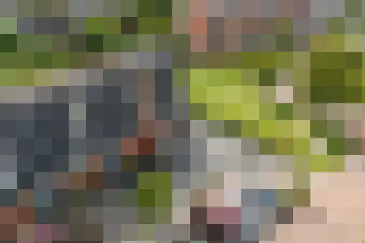 Assumburglaan 2 Obdam thumbnail 52