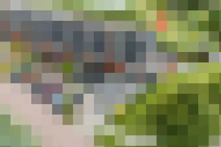 Assumburglaan 2 Obdam thumbnail 62