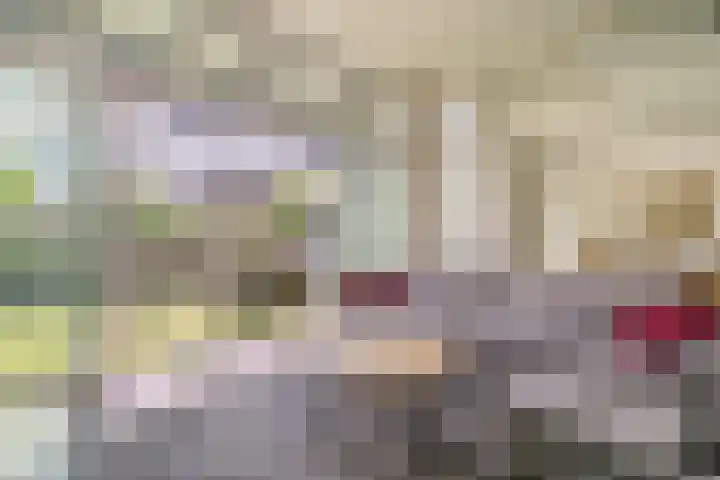 Assumburglaan 2 Obdam thumbnail 9