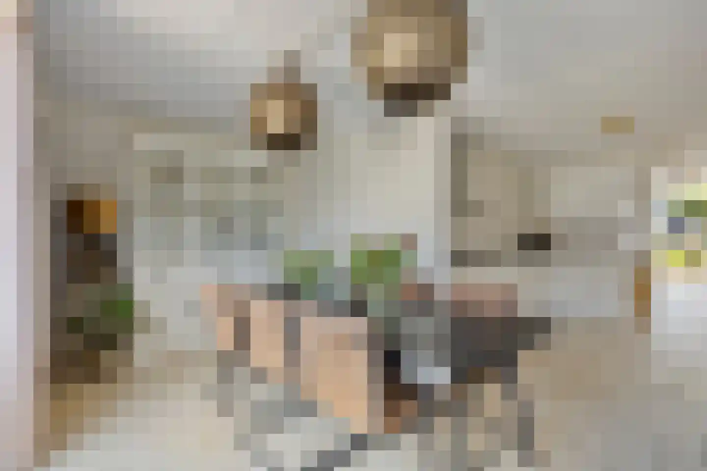 Assumburglaan 25 Obdam thumbnail 15