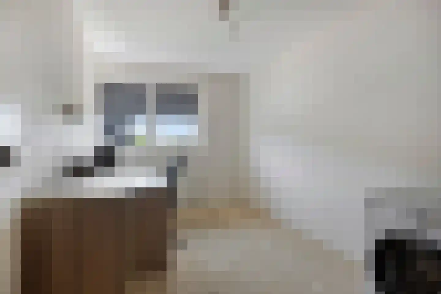 Assumburglaan 25 Obdam thumbnail 34