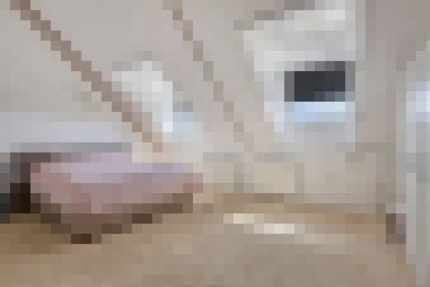 Assumburglaan 25 Obdam thumbnail 35