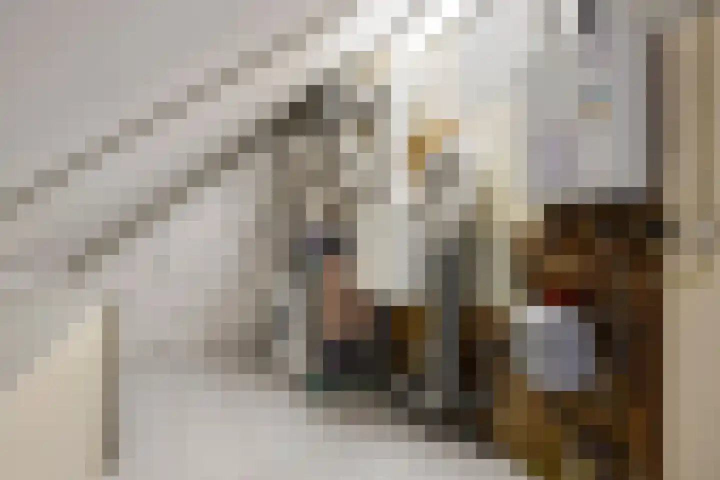 Assumburglaan 25 Obdam thumbnail 38