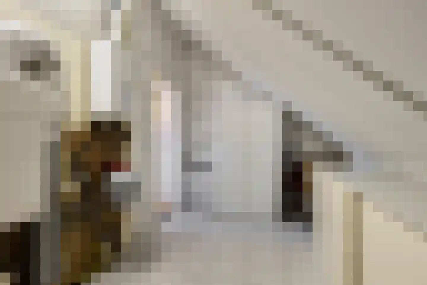 Assumburglaan 25 Obdam thumbnail 39