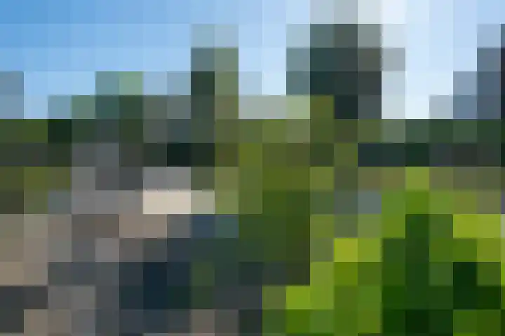 Assumburglaan 40 Obdam thumbnail 49