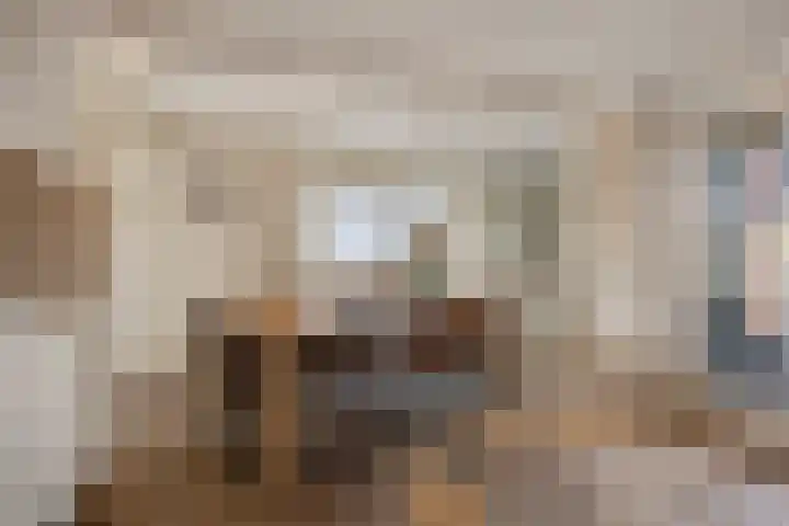 Assumburglaan 9 Obdam thumbnail 17