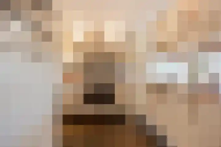 Assumburglaan 9 Obdam thumbnail 20
