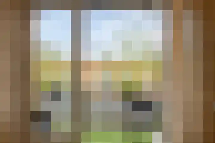 Assumburglaan 9 Obdam thumbnail 23