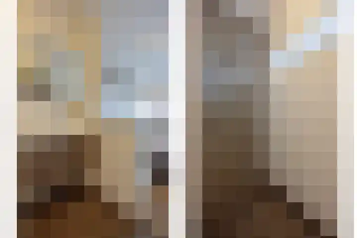 Assumburglaan 9 Obdam thumbnail 30