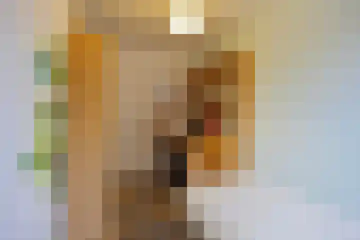 Assumburglaan 9 Obdam thumbnail 32
