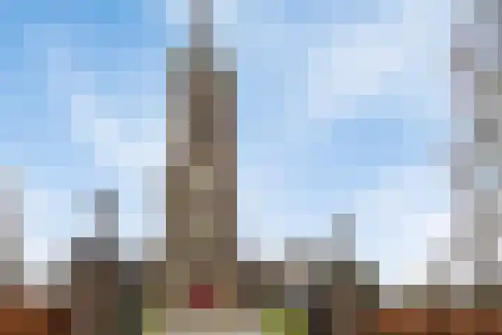 Assumburglaan 9 Obdam thumbnail 40