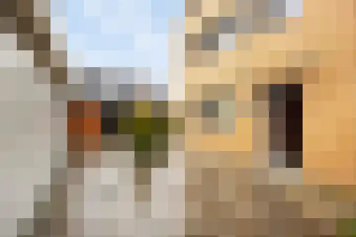 Assumburglaan 9 Obdam thumbnail 8