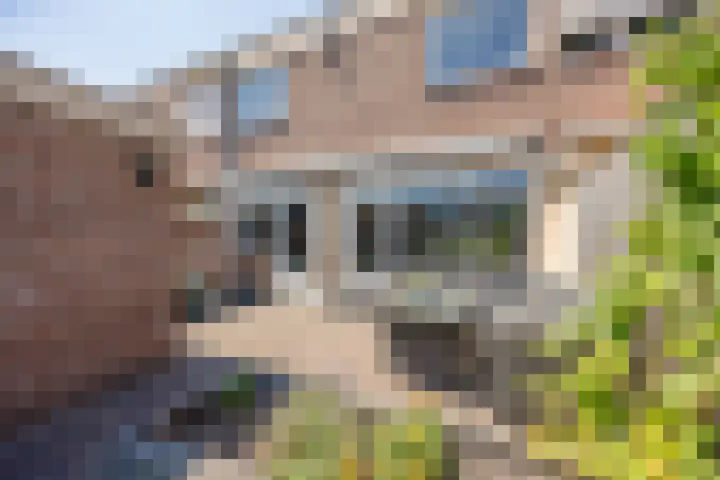 Assumburgstraat 21 Nijmegen thumbnail 29