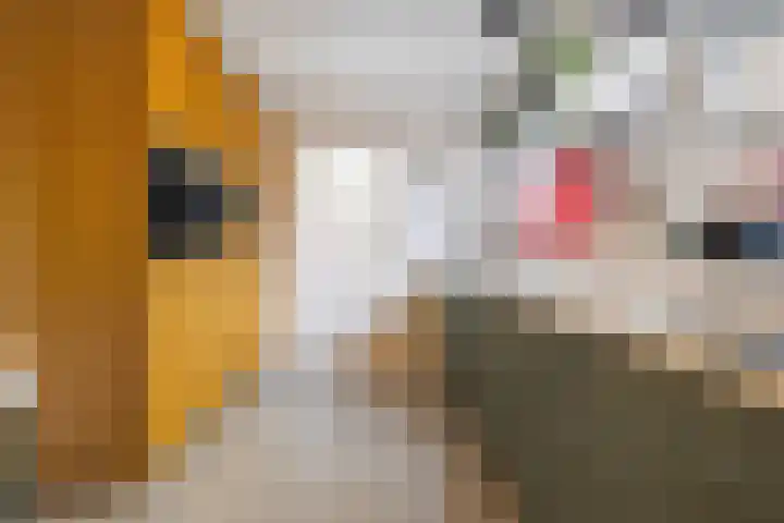 Assumburgstraat 22 Breda thumbnail 25
