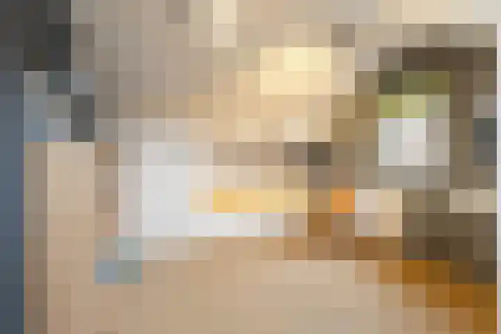 Assumburgstraat 22 Breda thumbnail 35