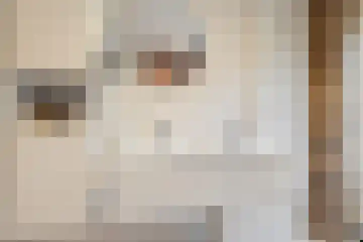 Assumburgstraat 22 Breda thumbnail 39