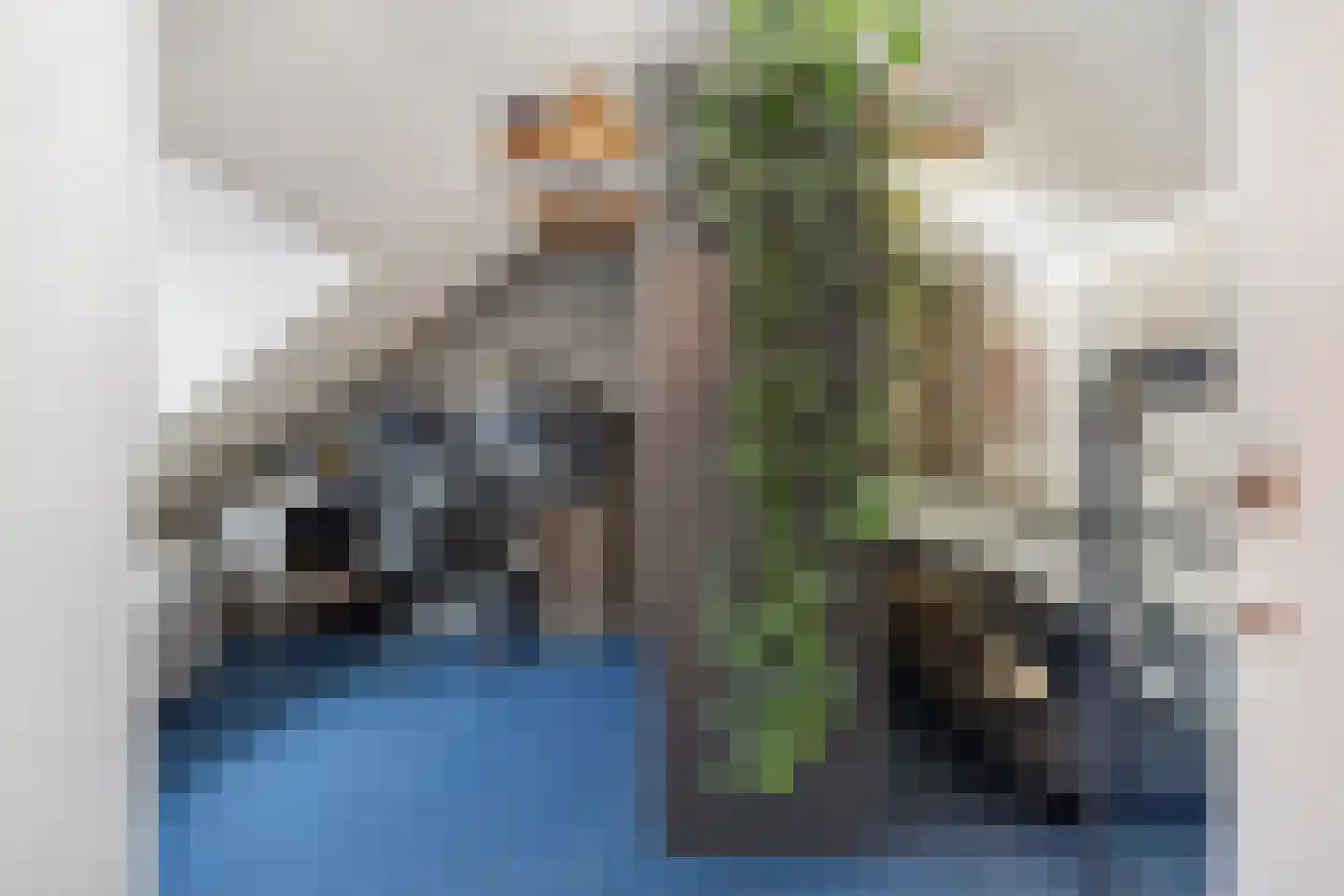 Assumburgstraat 22 Breda thumbnail 43