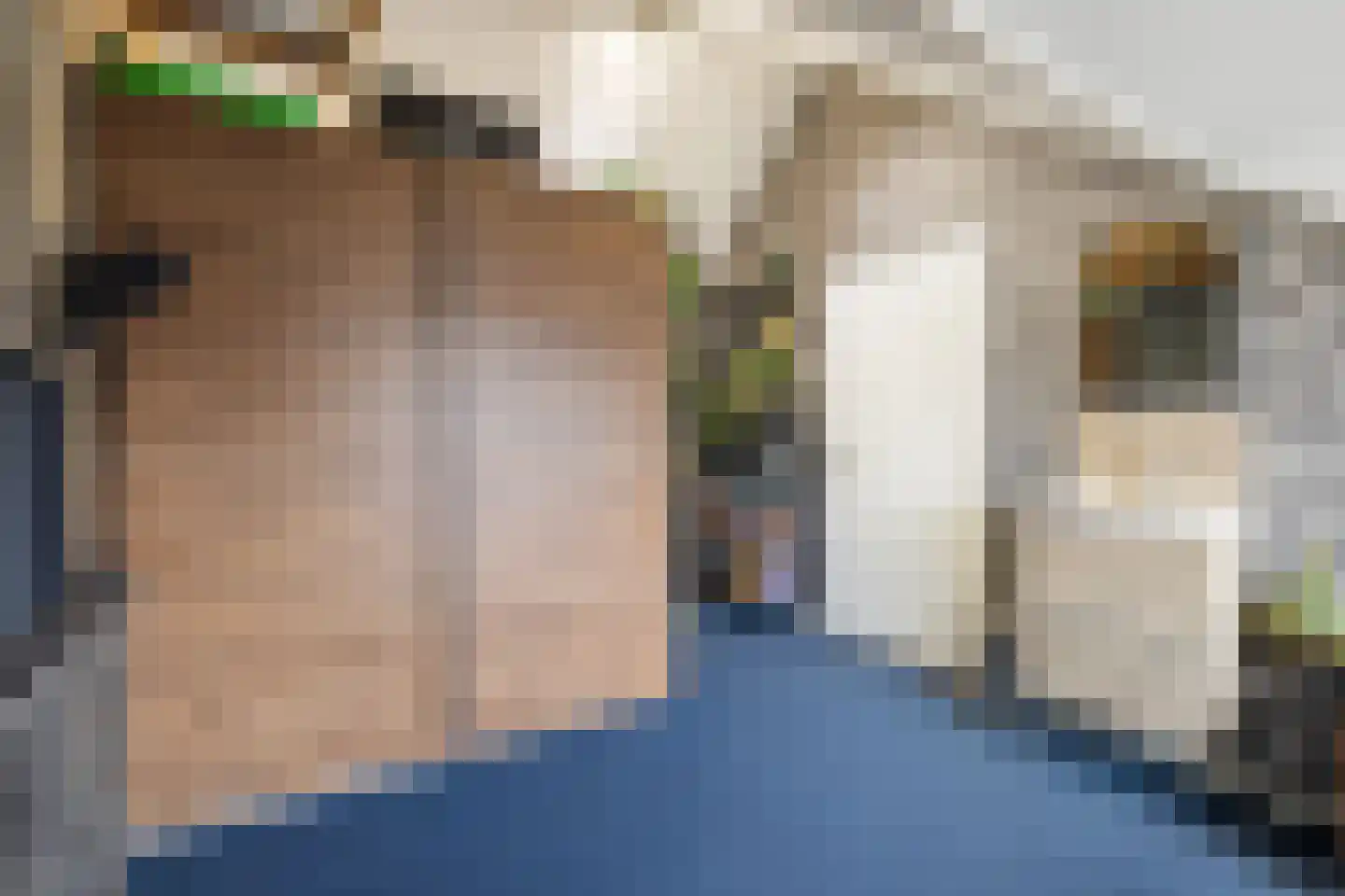 Assumburgstraat 22 Breda thumbnail 46