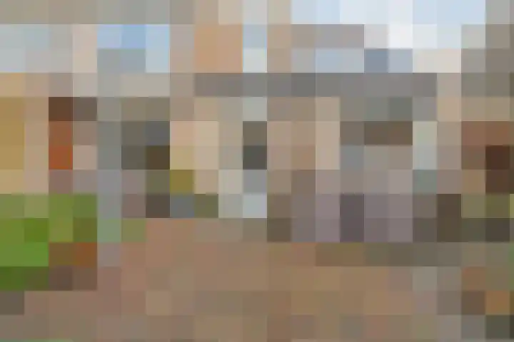 Assumburgstraat 22 Breda thumbnail 47