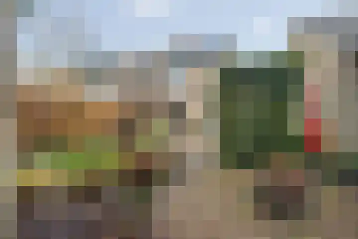 Assumburgstraat 22 Breda thumbnail 5