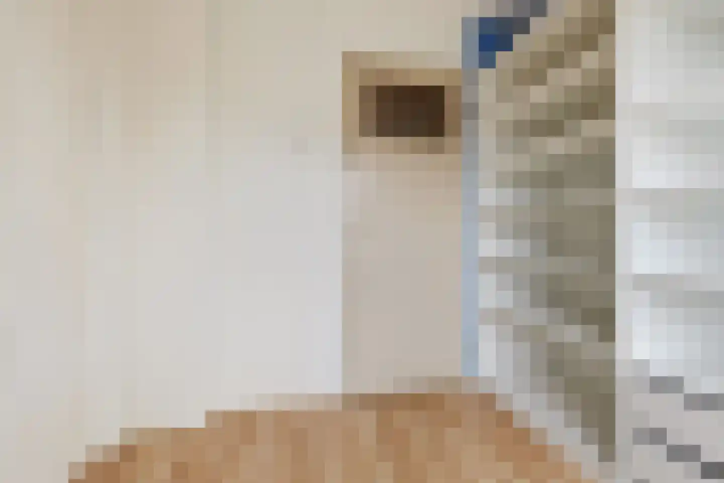 Assumburgstraat 5 Assendelft thumbnail 19