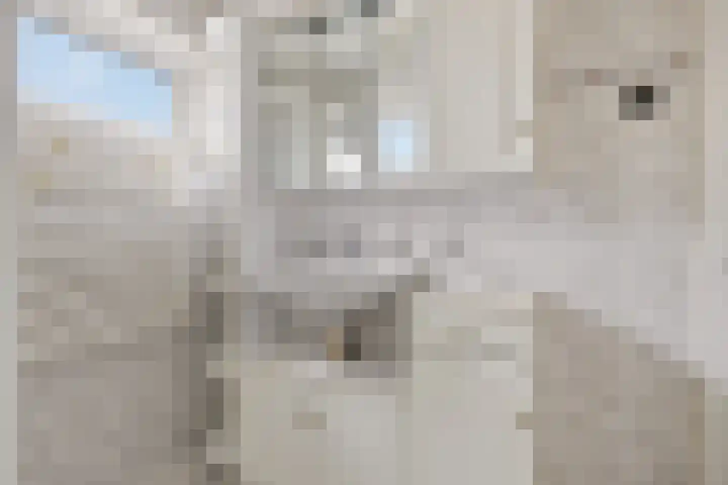 Assumburgstraat 5 Assendelft thumbnail 21