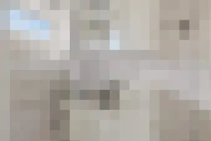 Assumburgstraat 5 Assendelft thumbnail 21
