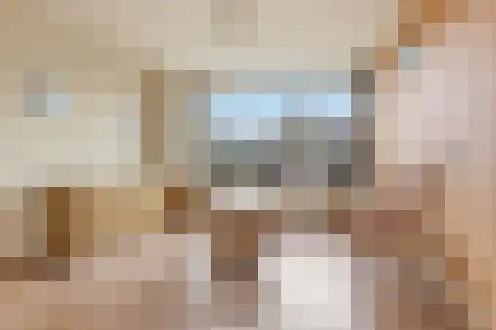 Assumburgstraat 5 Assendelft thumbnail 4