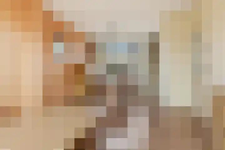 Assumburgstraat 5 Assendelft thumbnail 5