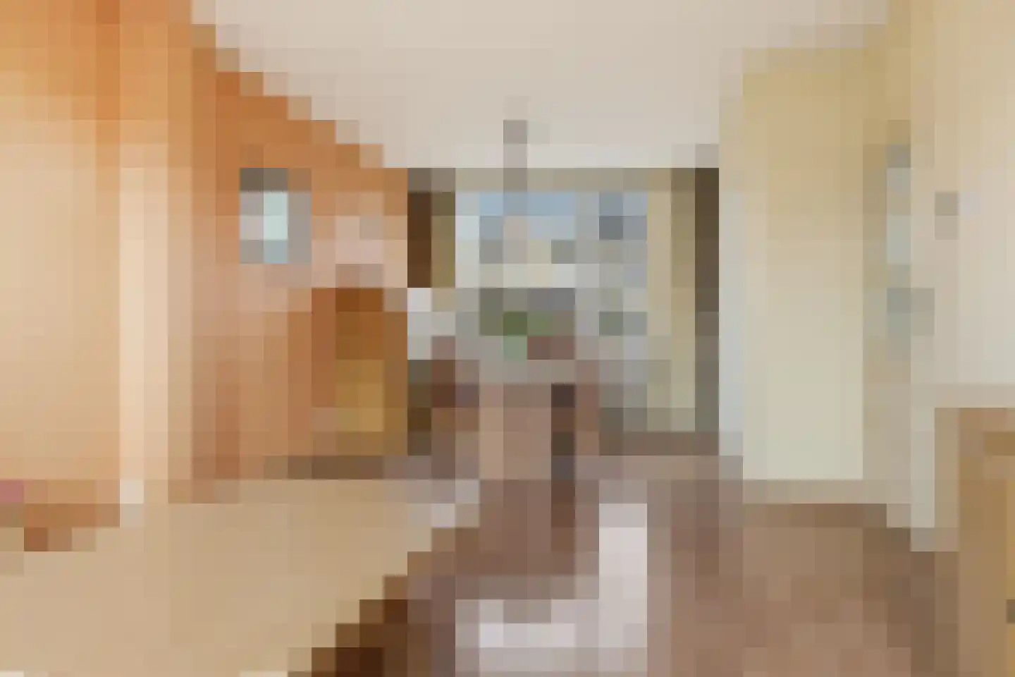 Assumburgstraat 5 Assendelft thumbnail 5