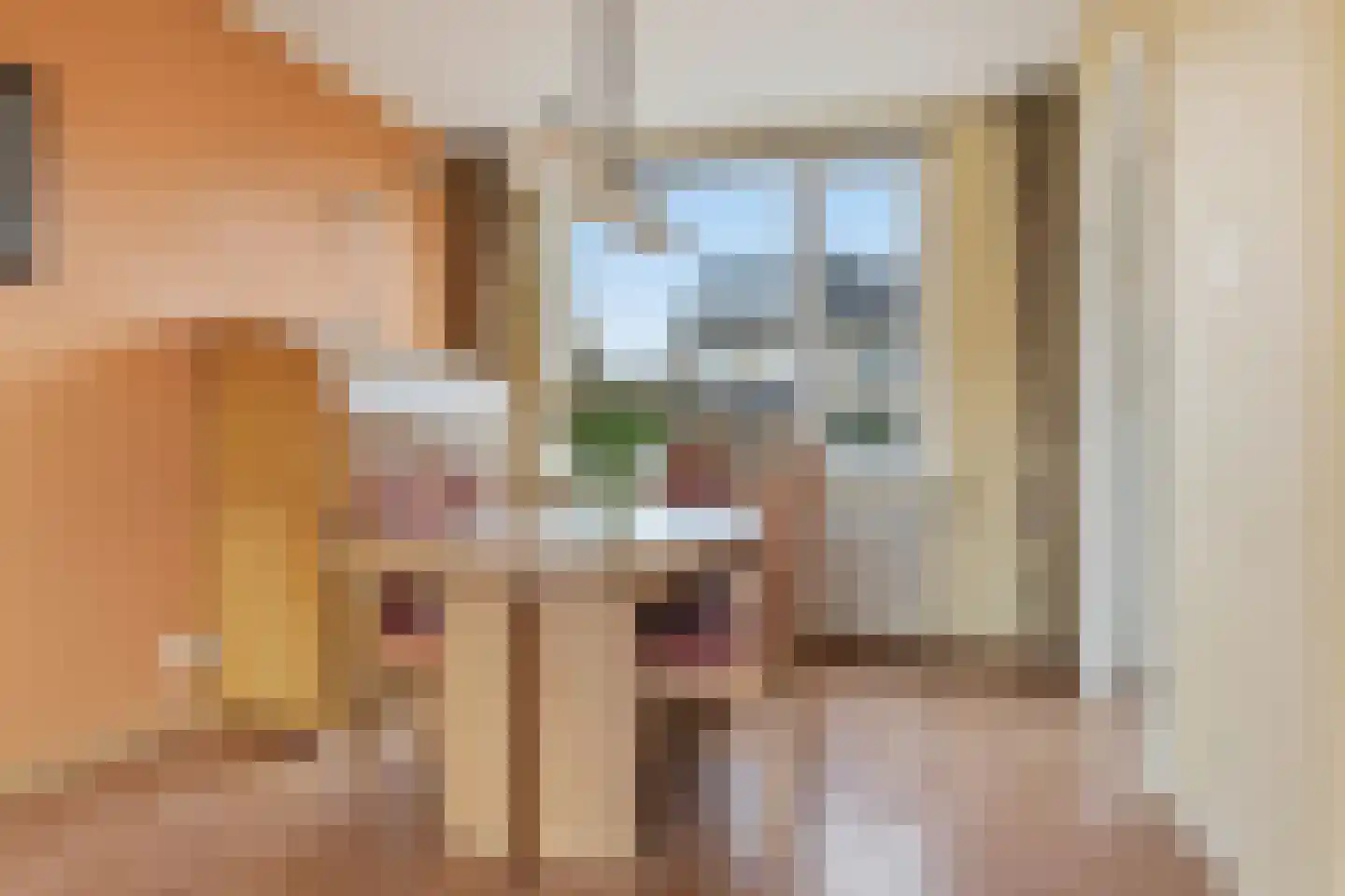 Assumburgstraat 5 Assendelft thumbnail 6