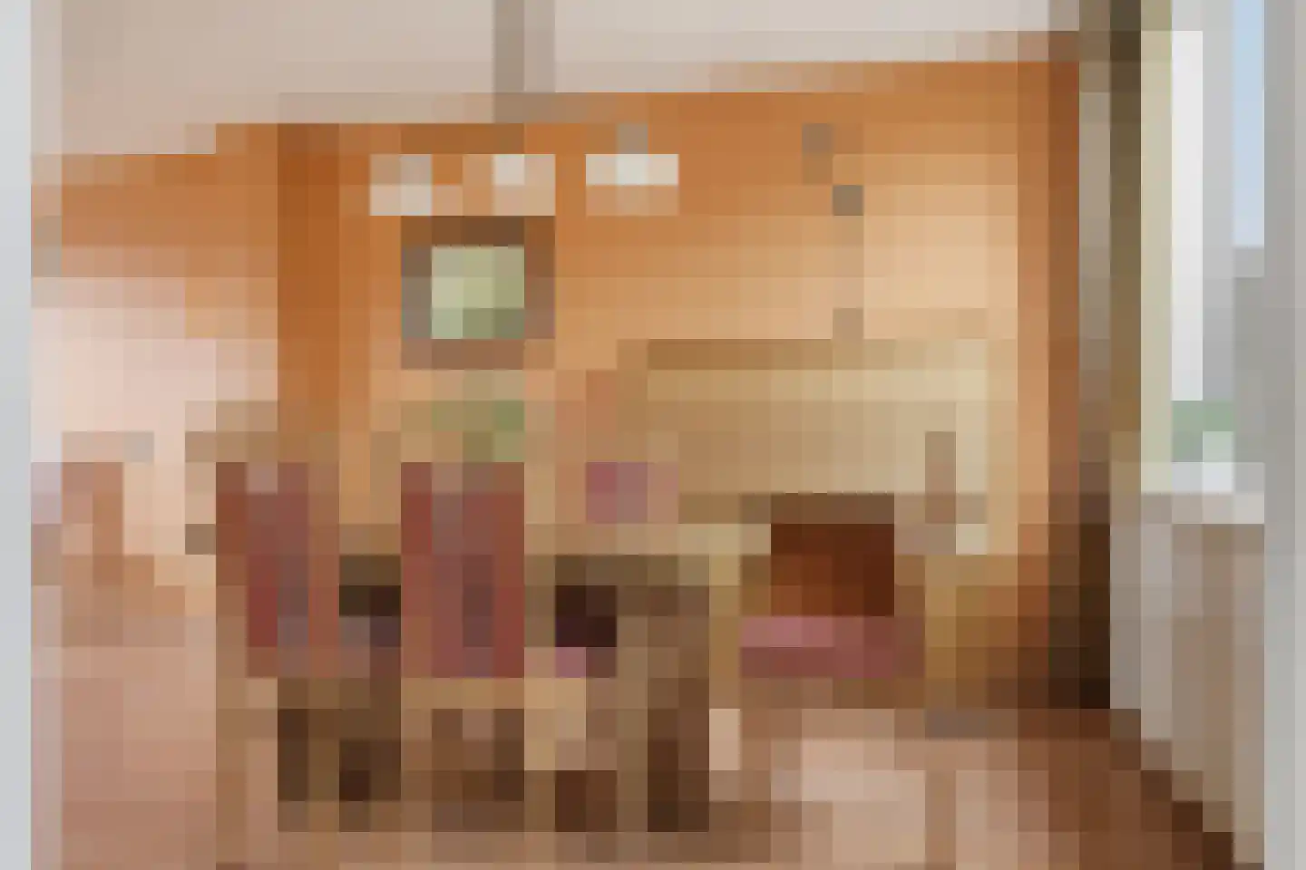 Assumburgstraat 5 Assendelft thumbnail 7