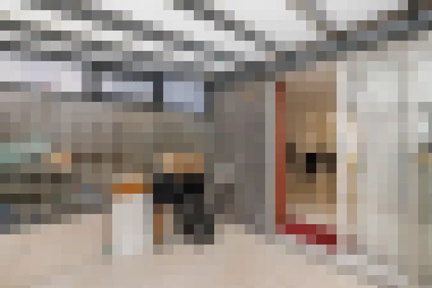 Asta Elstakstraat 6 Amsterdam thumbnail 13