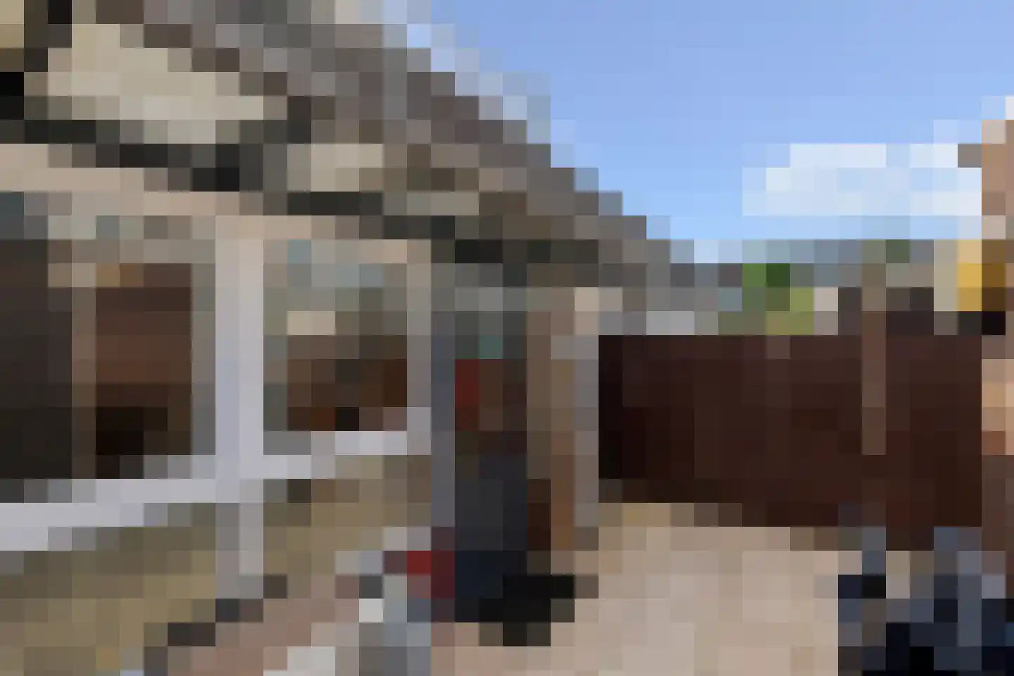 Asta Elstakstraat 6 Amsterdam thumbnail 16
