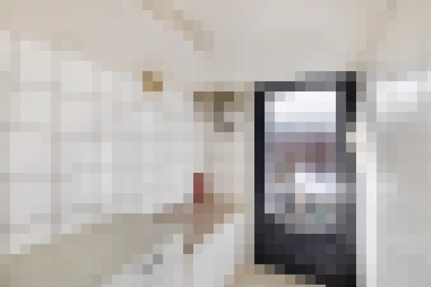Asta Elstakstraat 6 Amsterdam thumbnail 18