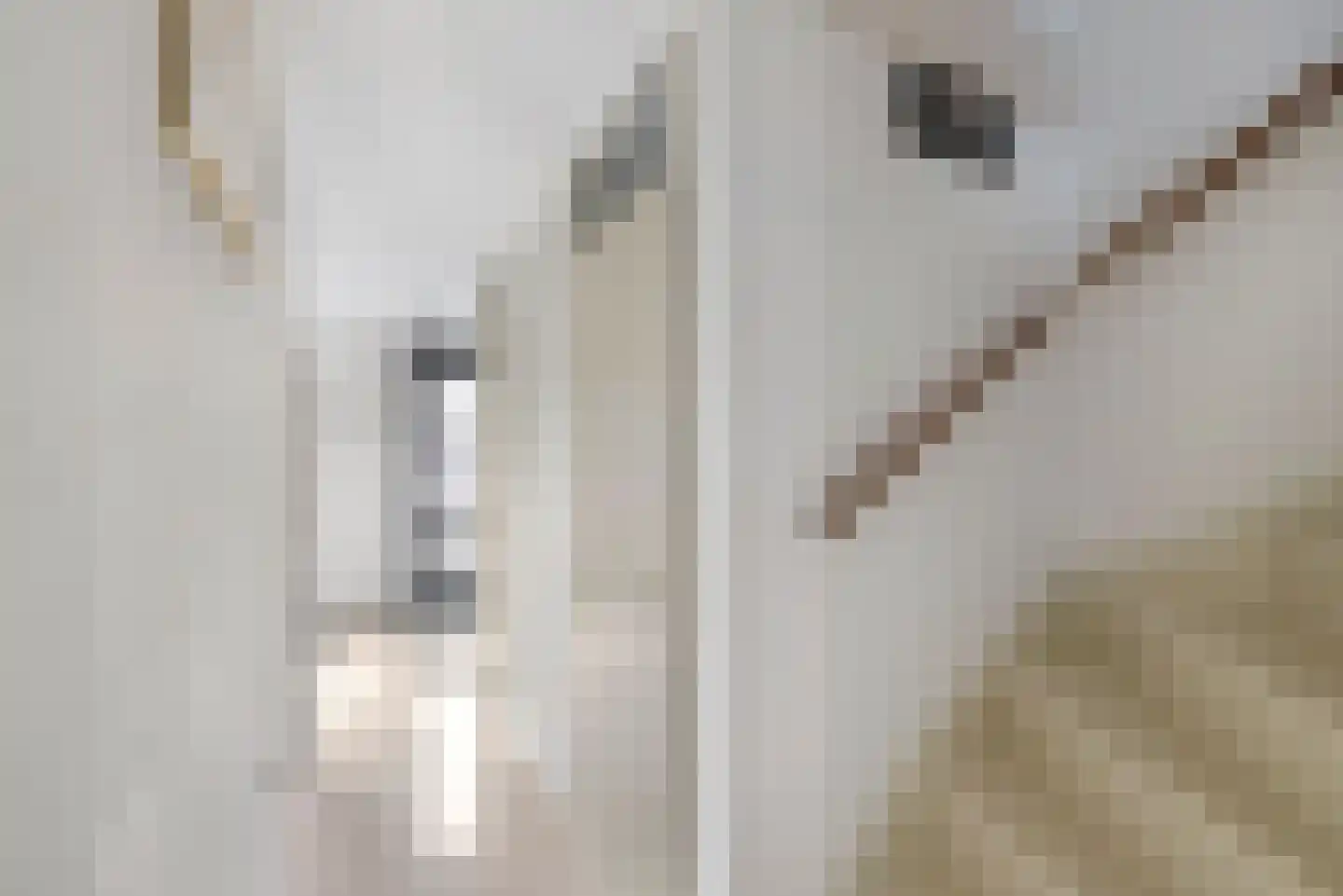 Asta Elstakstraat 6 Amsterdam thumbnail 19