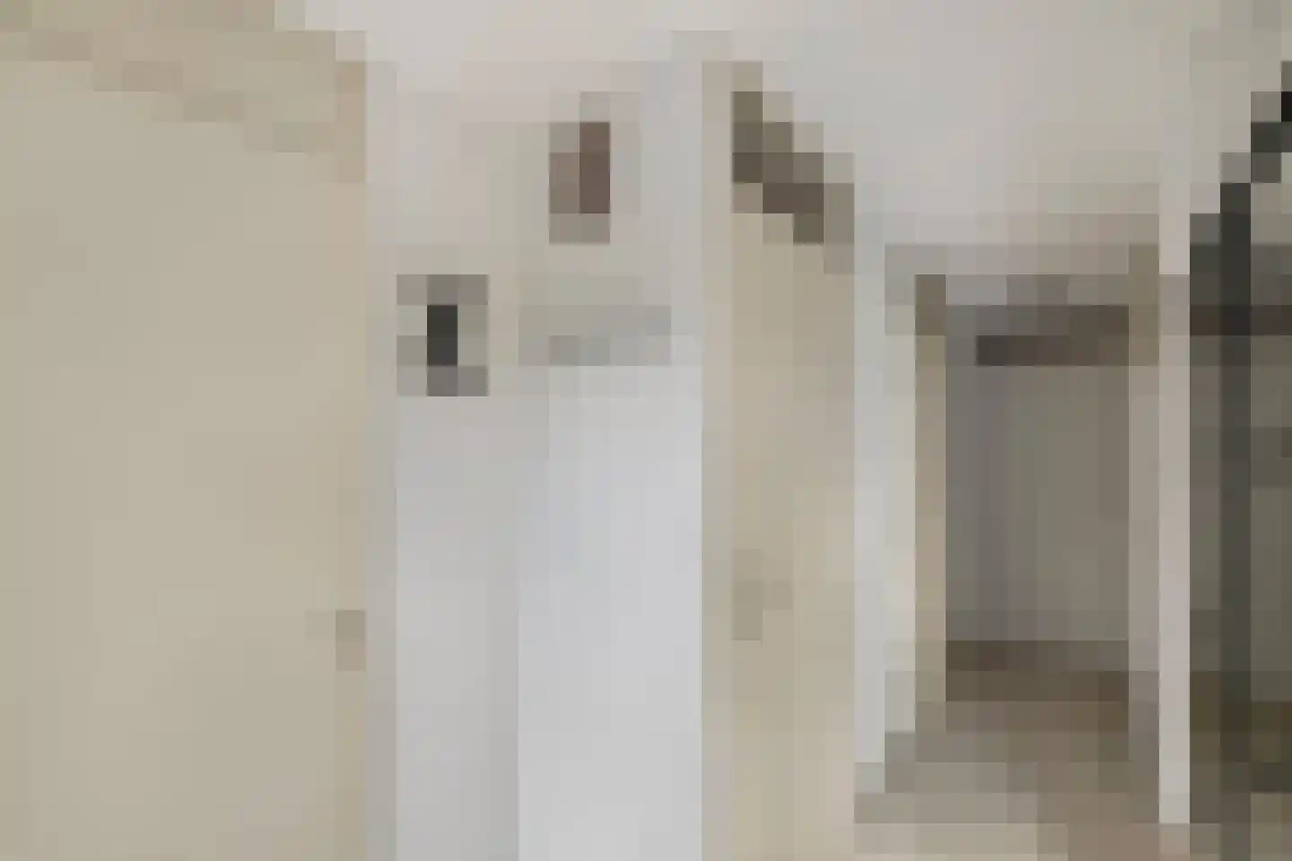 Asta Elstakstraat 6 Amsterdam thumbnail 20
