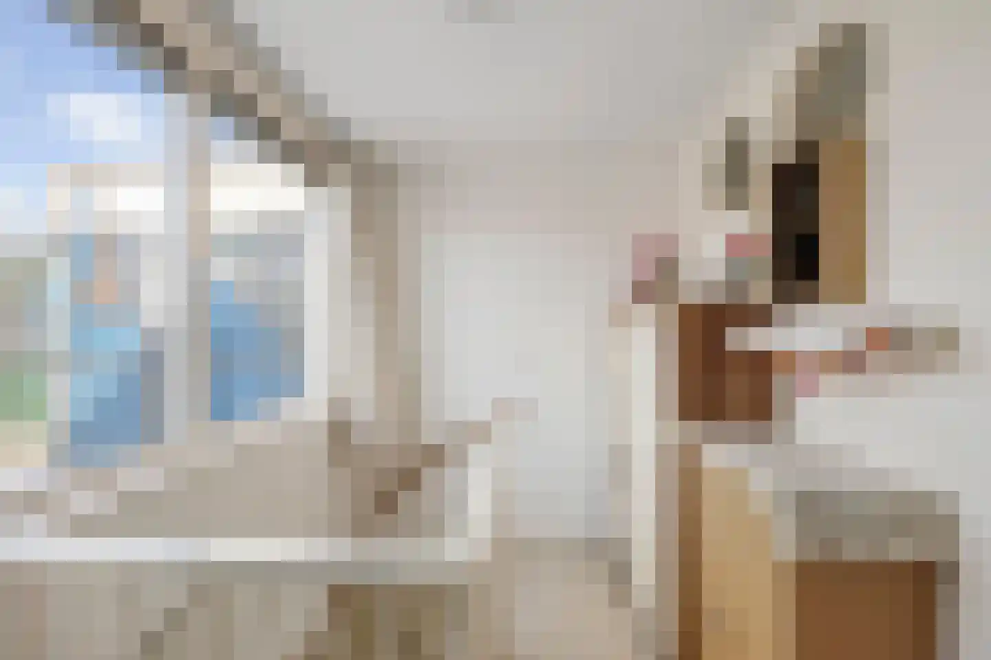 Asta Elstakstraat 6 Amsterdam thumbnail 28