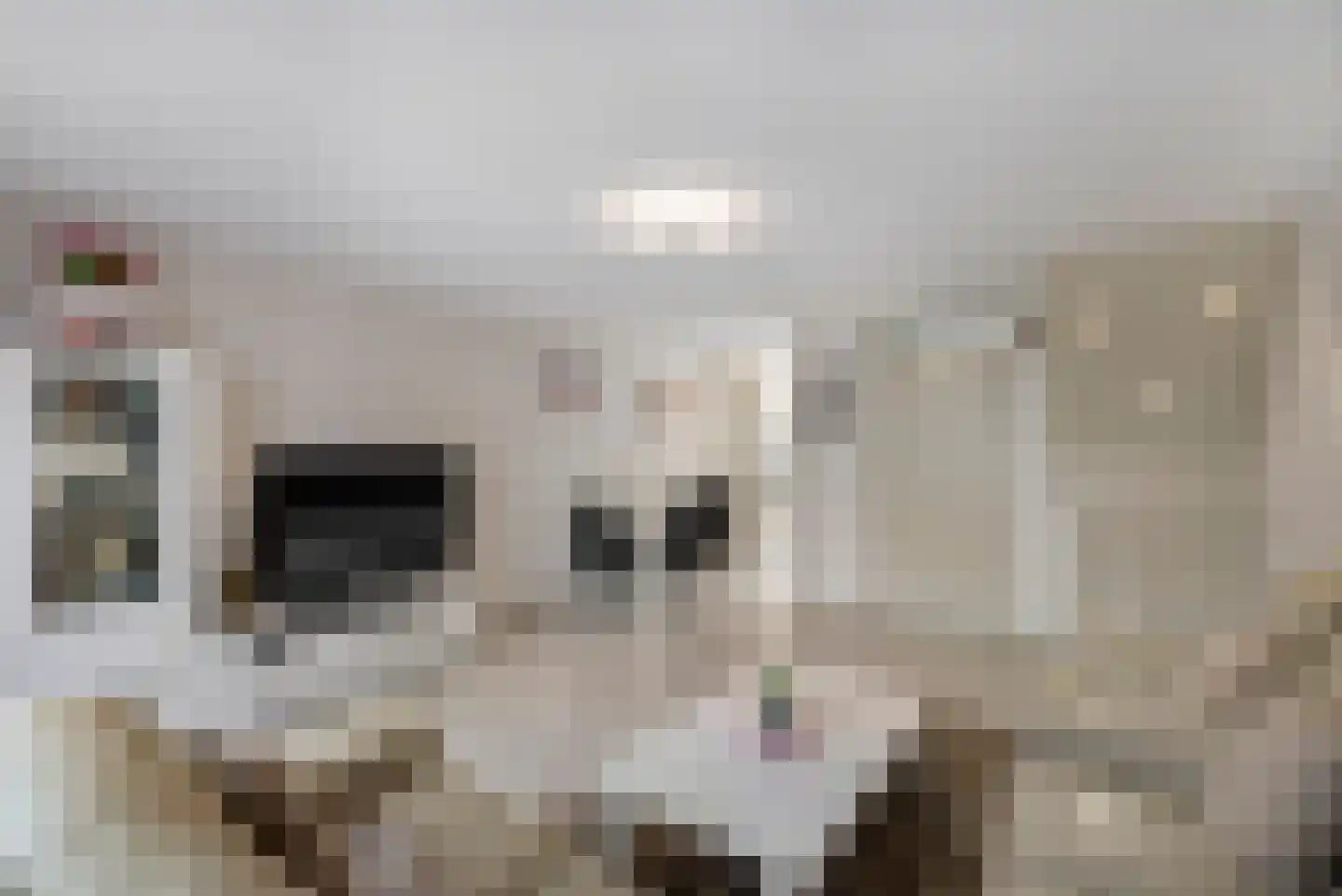Asta Elstakstraat 6 Amsterdam thumbnail 9