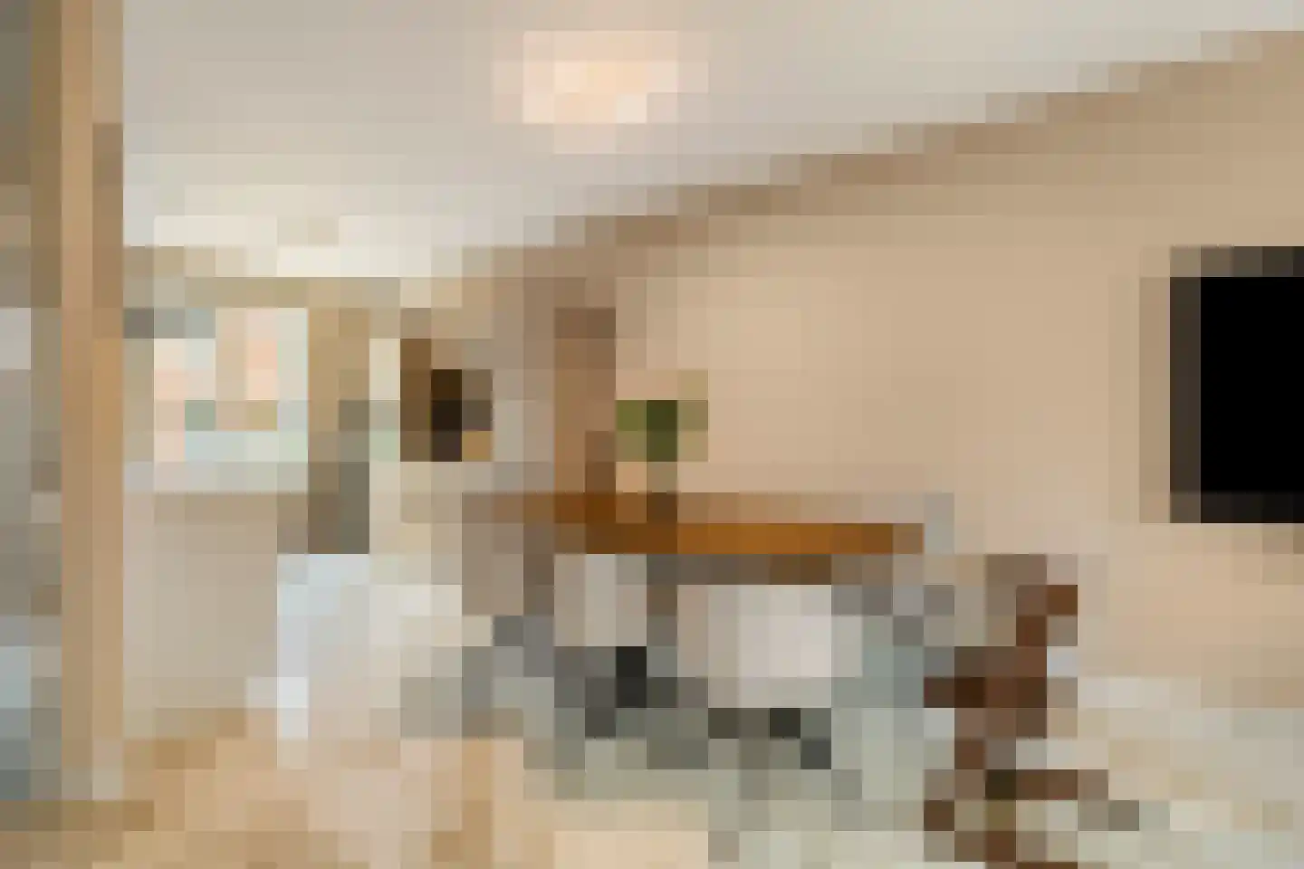 Asta Elstakstraat 6 Rotterdam thumbnail 15