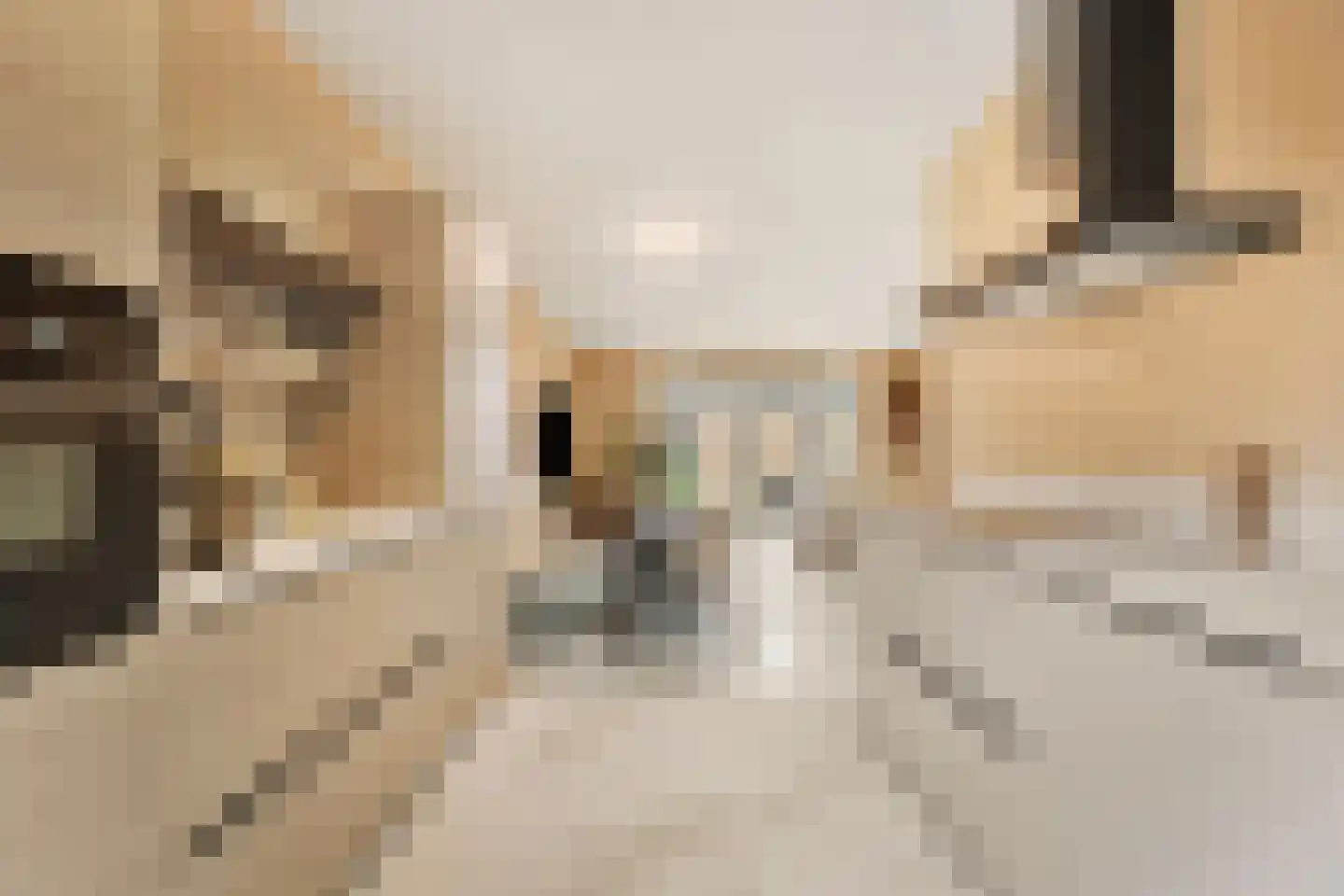 Asta Elstakstraat 6 Rotterdam thumbnail 18