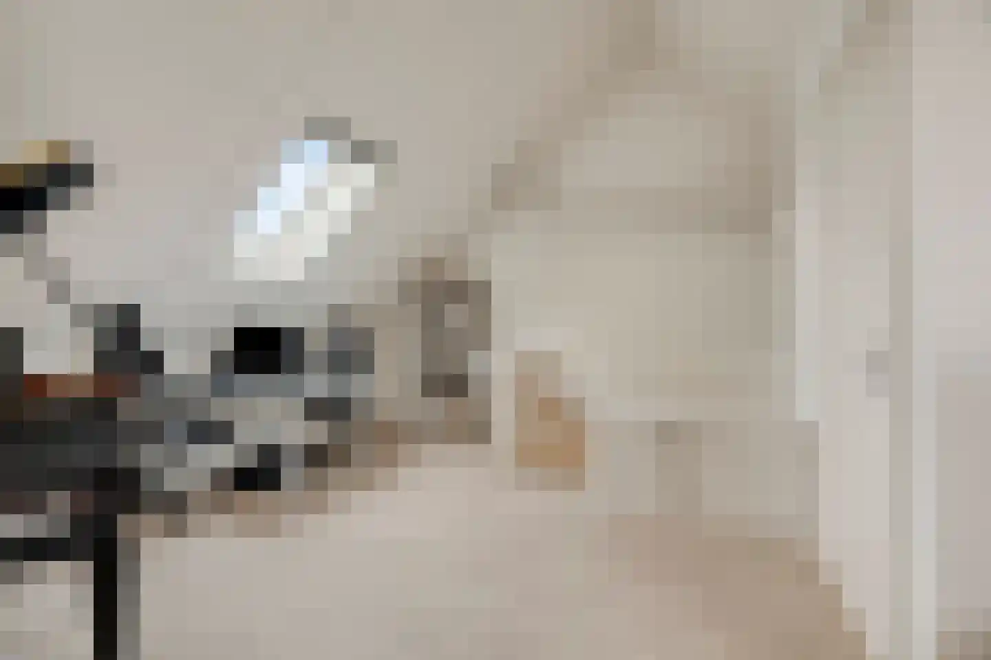 Asta Elstakstraat 6 Rotterdam thumbnail 32