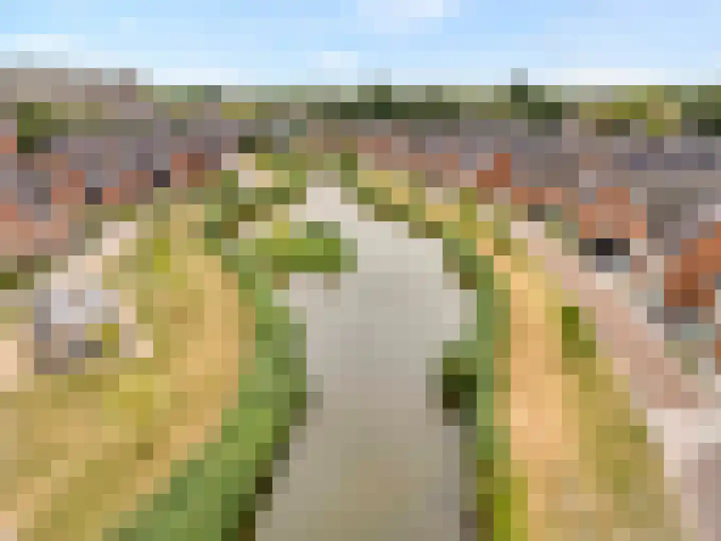 Asta Elstakstraat 6 Rotterdam thumbnail 38