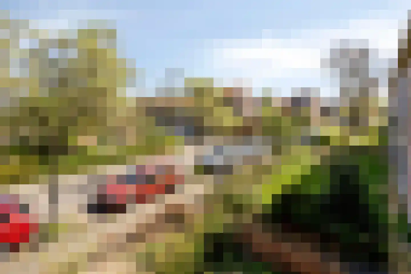 Astasiastraat 23 1 Amsterdam thumbnail 7