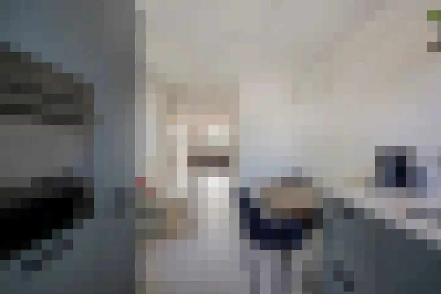 Asterdkraag 56 Breda thumbnail 10