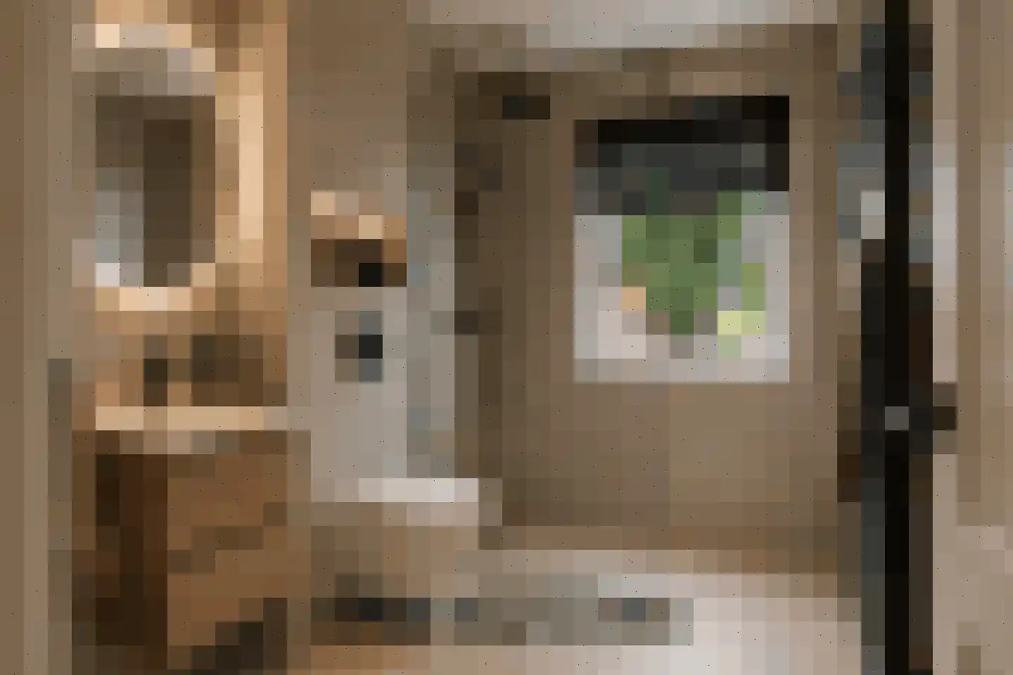 Asterdkraag 56 Breda thumbnail 36