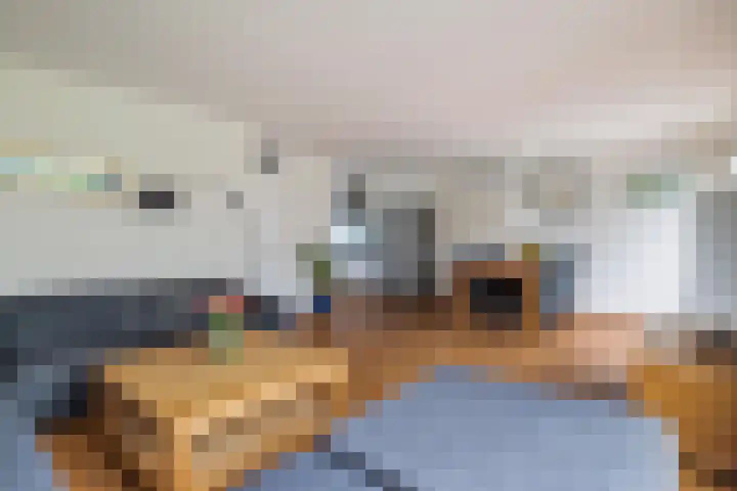 Asterdkraag 88 Breda thumbnail 19